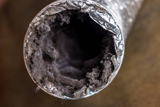 Best Professional Duct Cleaning Services  in Marion, MT